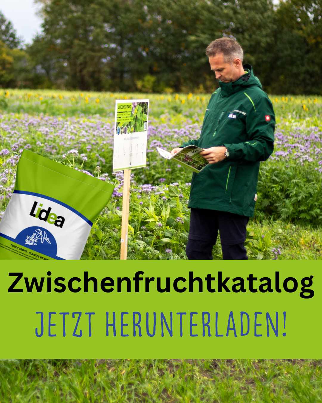 Zwischenfruhctkatalog zum Download