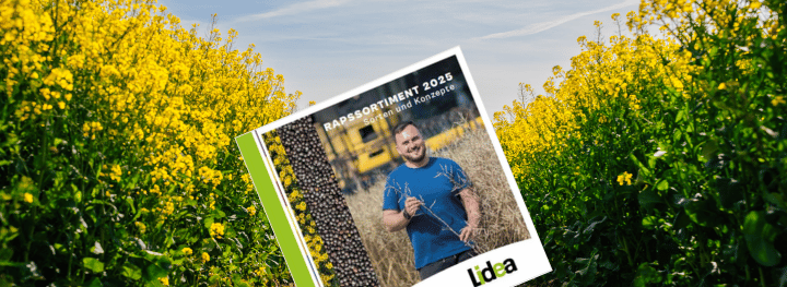 Lidea Raps Katalog 